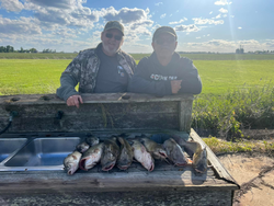 Southern waters, solid bites